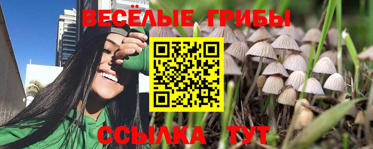 Ульяновск  цена   Вход с VPN  Псилоцибиновые грибы прущие грибы 